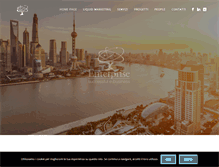 Tablet Screenshot of enterprise-consulting.it